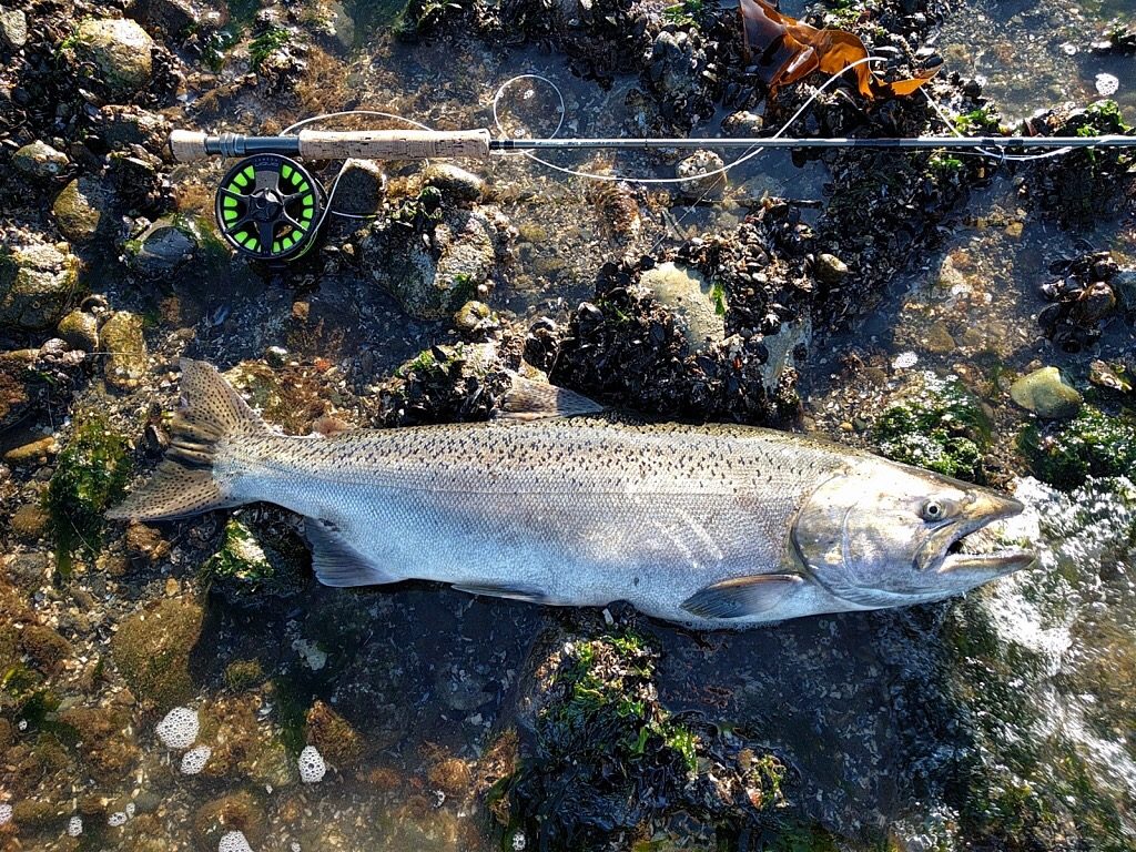 summer fly fishing trips